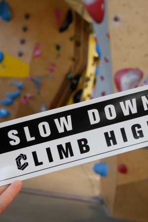Slow Down Bumper Sticker